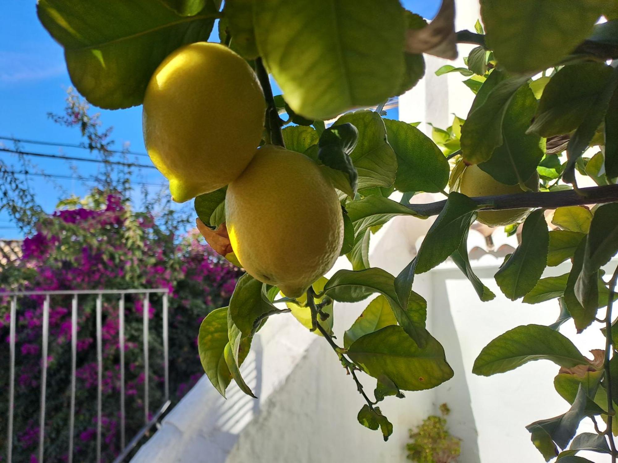 Appartement Casa Alhambra - Centro Historico Con Jardin Privado