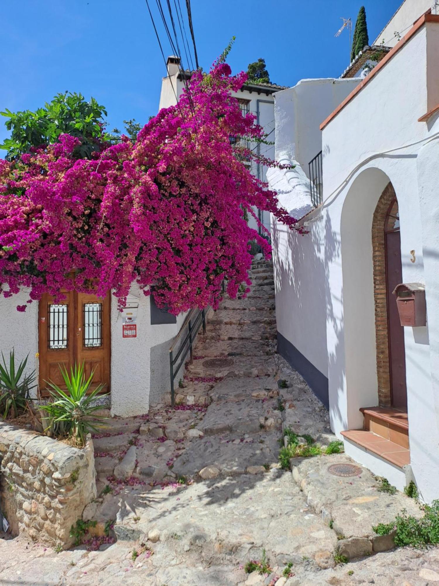 Casa Alhambra - Centro Historico Con Jardin Privado Appartement Granada
